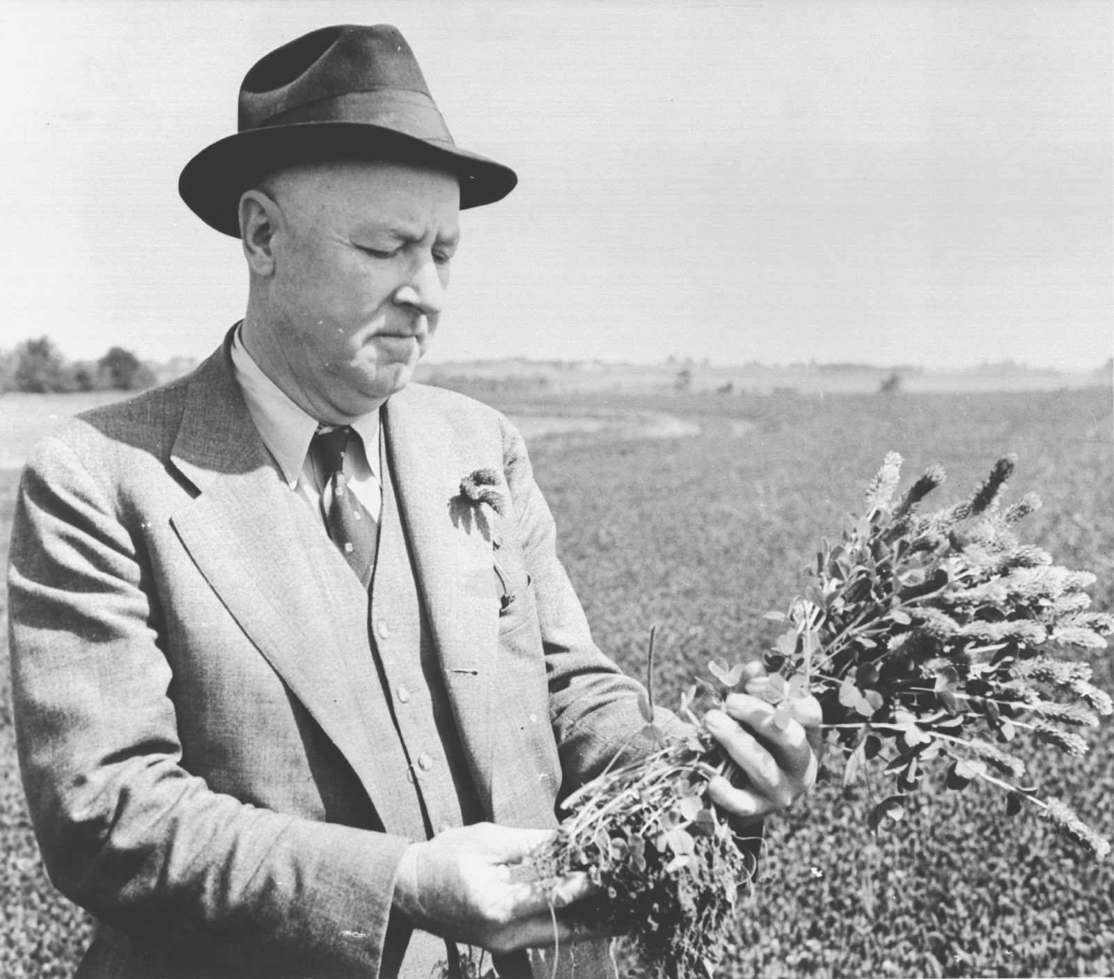 Hugh Hammond Bennett inspecciona un cultivo mientras está de pie en un campo de cultivo.