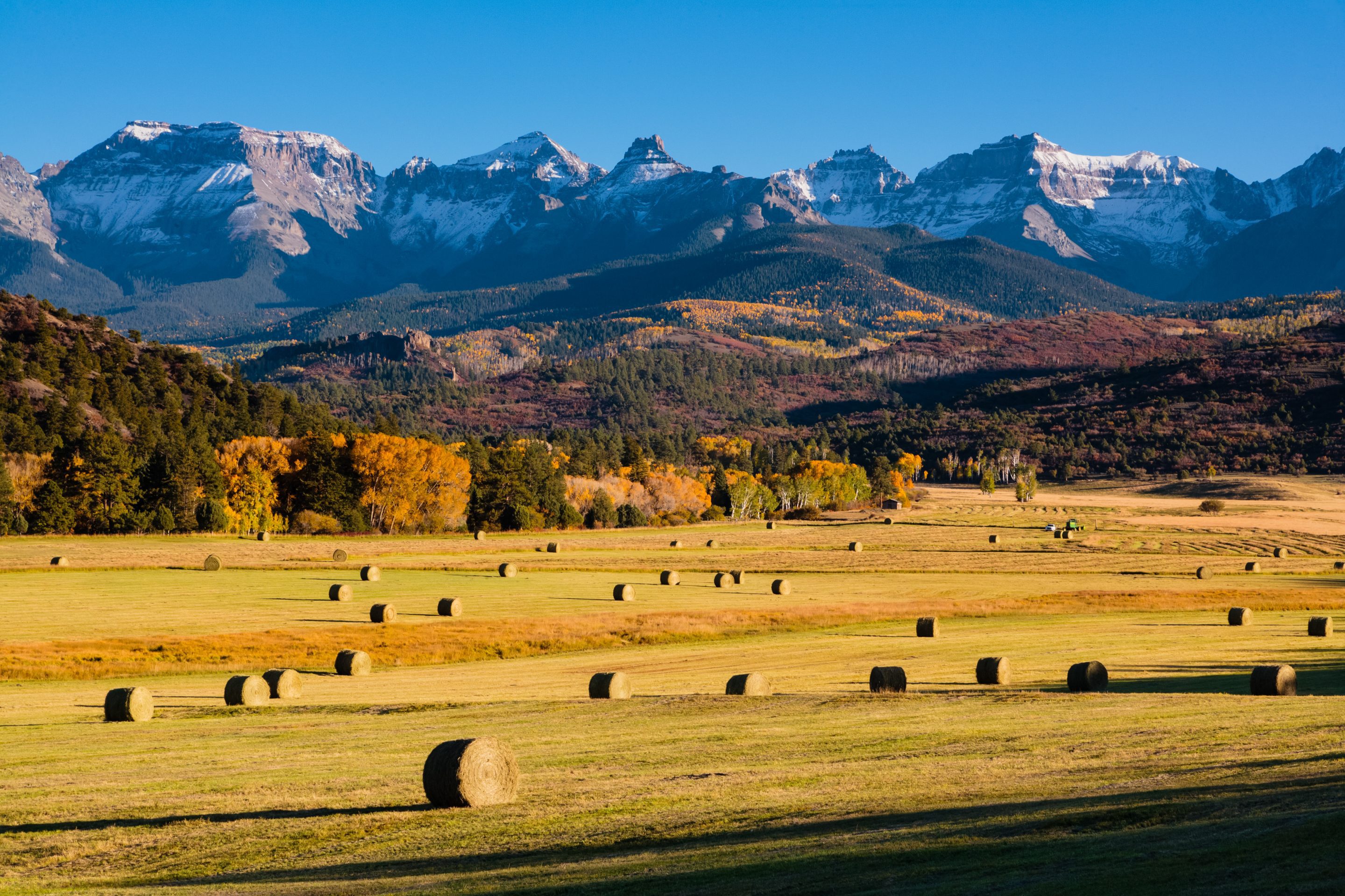 A field with hay bales at the foot of a forest and mountain.