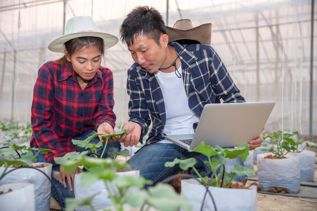 Woman and man assess plants in greenhouse