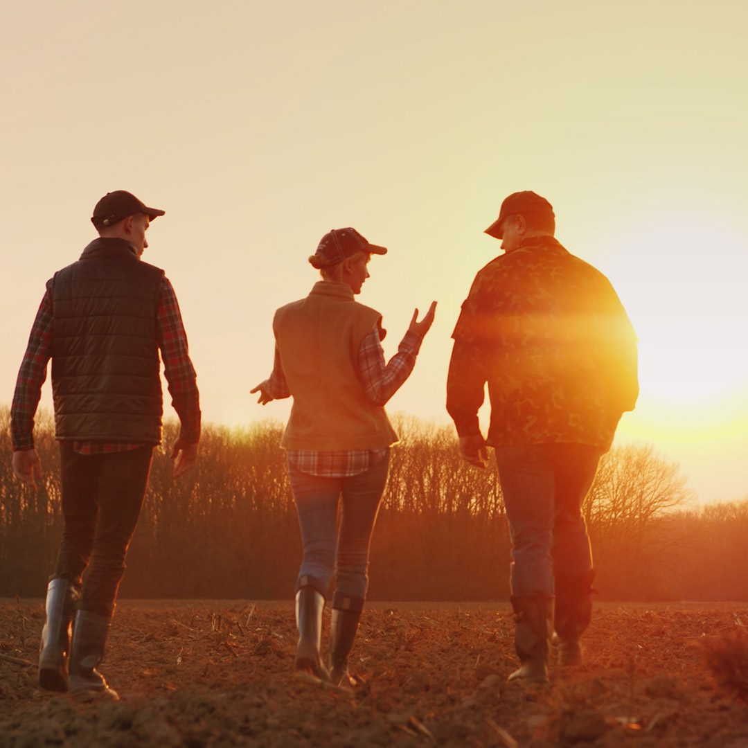 Conservacionistas familiares caminando por un campo cultivado al atardecer.